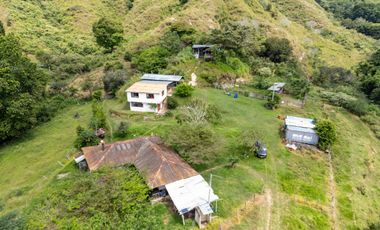 BONITA Y AMPLIA FINCA PARA TRABAJO (DOBLE PROPÓSITO) EN PURIFICACIÓN TOLIMA EN VENTA