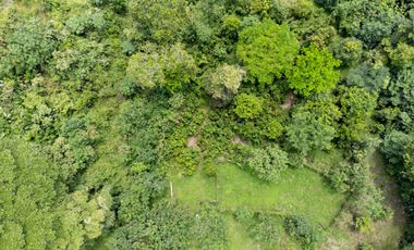 BONITA Y AMPLIA FINCA PARA TRABAJO (DOBLE PROPÓSITO) EN PURIFICACIÓN TOLIMA EN VENTA