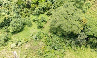 BONITA Y AMPLIA FINCA PARA TRABAJO (DOBLE PROPÓSITO) EN PURIFICACIÓN TOLIMA EN VENTA