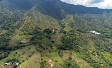 BONITA Y AMPLIA FINCA PARA TRABAJO (DOBLE PROPÓSITO) EN PURIFICACIÓN TOLIMA EN VENTA