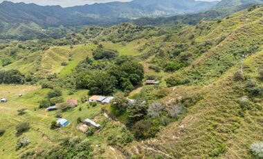 BONITA Y AMPLIA FINCA PARA TRABAJO (DOBLE PROPÓSITO) EN PURIFICACIÓN TOLIMA EN VENTA