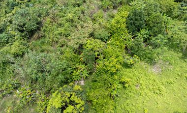 BONITA Y AMPLIA FINCA PARA TRABAJO (DOBLE PROPÓSITO) EN PURIFICACIÓN TOLIMA EN VENTA