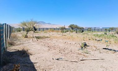 ¡OPORTUNIDAD ÚNICA EN VALLE FÉRTIL – COPIAPÓ! ✨🌿 Parcela de 5.000 m² con 2 casas.