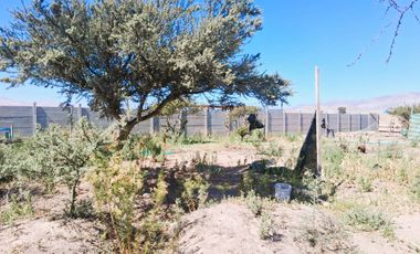 ¡OPORTUNIDAD ÚNICA EN VALLE FÉRTIL – COPIAPÓ! ✨🌿 Parcela de 5.000 m² con 2 casas.