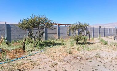 ¡OPORTUNIDAD ÚNICA EN VALLE FÉRTIL – COPIAPÓ! ✨🌿 Parcela de 5.000 m² con 2 casas.