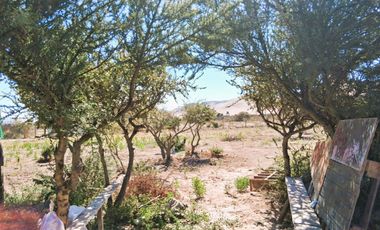 ¡OPORTUNIDAD ÚNICA EN VALLE FÉRTIL – COPIAPÓ! ✨🌿 Parcela de 5.000 m² con 2 casas.