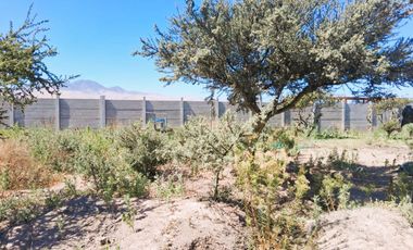¡OPORTUNIDAD ÚNICA EN VALLE FÉRTIL – COPIAPÓ! ✨🌿 Parcela de 5.000 m² con 2 casas.