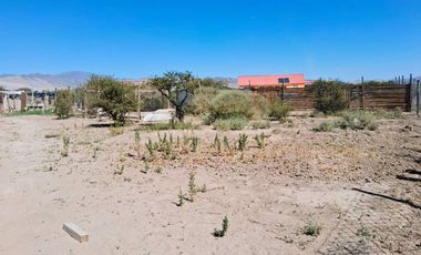 ¡OPORTUNIDAD ÚNICA EN VALLE FÉRTIL – COPIAPÓ! ✨🌿 Parcela de 5.000 m² con 2 casas.