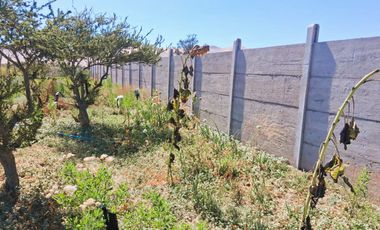 ¡OPORTUNIDAD ÚNICA EN VALLE FÉRTIL – COPIAPÓ! ✨🌿 Parcela de 5.000 m² con 2 casas.