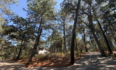 Terreno en Venta Tapalpa Jalisco
