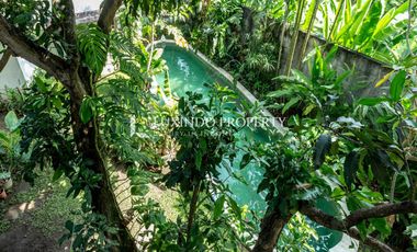 DIJUAL VILLA DENGAN 5 KAMAR TIDUR DI TANGKUBAN PERAHU, KEROBOKAN