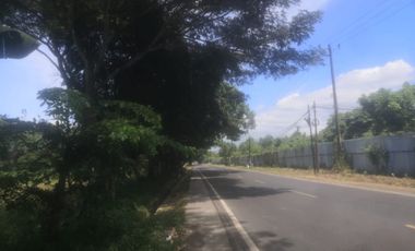 Buka Peluang Bisnis & Properti di Citeras – Tanah 47.000 m²