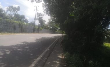 Buka Peluang Bisnis & Properti di Citeras – Tanah 47.000 m²