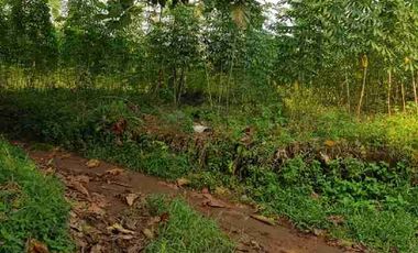 Tanah dijual di Citayam, Tajurhalang, Kab Bogor, Jawa Barat