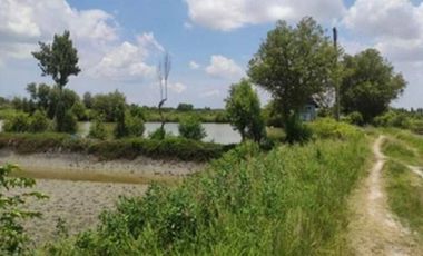 DIJUAL CEPAT TANAH MURAH DI 0 JALAN RAYA MANYAR GRESIK CASH ONLY