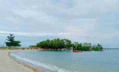 Forsale or ForRent Furnish villas