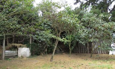 VENDO LOTE EN VEREDA PUEBLO VIEJO - COTA
