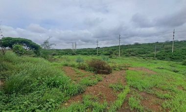 local comercial y galpones de venta en montecristi