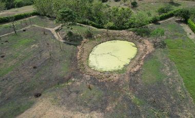 SE ARRIEMDA PREDIO DE 22.000 M2 - SOBRE TRONAL VIA SINCELEJO - SAMPUES
