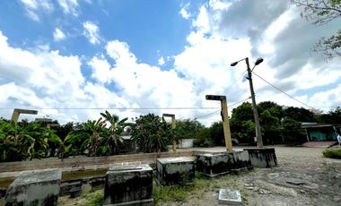 SE ARRIEMDA PREDIO DE 22.000 M2 - SOBRE TRONAL VIA SINCELEJO - SAMPUES