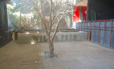 Local Comercial en renta 955 m² | Uso de suelo Comercial y Servicios | San Ángel