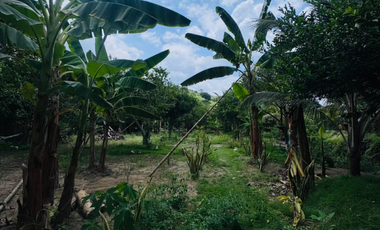 RESORT EN VENTA NEGOCIO FUNCIONANDO EN PORTOVIEJO