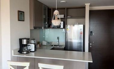 Arriendo Depto Hasta 15 De Diciembre Amoblado En Concón