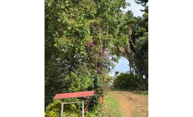 Venta de Finca en Corregimiento La Paz, Valle del Cauca | LOMITAS