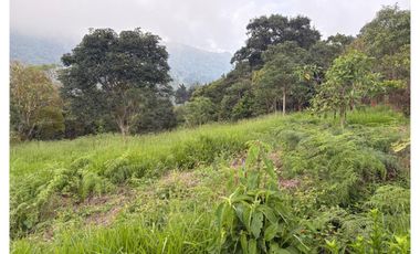 Venta de Finca en Corregimiento La Paz, Valle del Cauca | LOMITAS