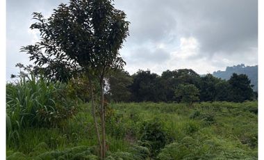 Venta de Finca en Corregimiento La Paz, Valle del Cauca | LOMITAS