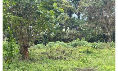 Venta de Finca en Corregimiento La Paz, Valle del Cauca | LOMITAS