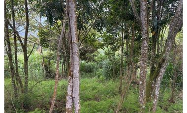 Venta de Finca en Corregimiento La Paz, Valle del Cauca | LOMITAS