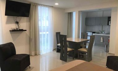 Rento loft Ejecutivo, incluye servicios y un cajón de estacionamiento.