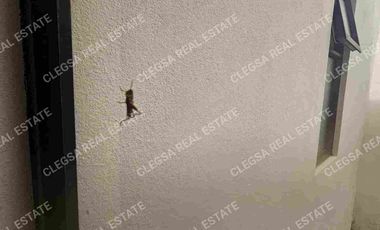 Rento o arriendo casa con jardin  en la UDA -