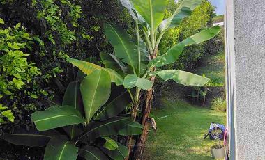 Casa 70 M2 con plancha + Lote de 586m2 para seguir construyendo.