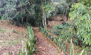 Casa 70 M2 con plancha + Lote de 586m2 para seguir construyendo.