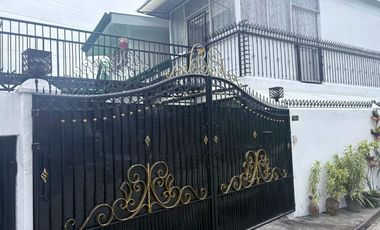 HOUSE AND LOT FOR SALE NEAR DUMAGUETE CITY PROPER ID 15106