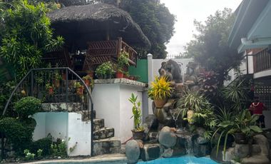 HOUSE AND LOT FOR SALE NEAR DUMAGUETE CITY PROPER ID 15106