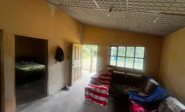 INTAG COTACACHI, VENDO TERRENO 7040M2, RIO Y CASA