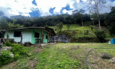 INTAG COTACACHI, VENDO TERRENO 7040M2, RIO Y CASA
