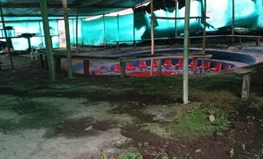 INTAG COTACACHI, VENDO TERRENO 7040M2, RIO Y CASA
