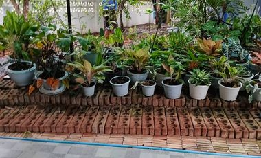 ขายขาดทุน!!! บ้านพร้อมที่ดิน พึ่งสร้างเสร็จ ใกล้ตลาดวังสีสูบ 130 ตร.วา