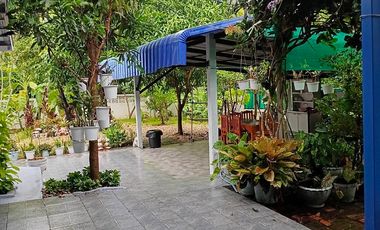 ขายขาดทุน!!! บ้านพร้อมที่ดิน พึ่งสร้างเสร็จ ใกล้ตลาดวังสีสูบ 130 ตร.วา