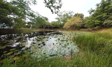 VENDO CASA EN ANAPOIMA