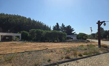 TERRENO PLANO RESERVA DE MITRINHUE