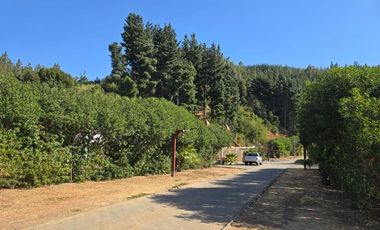 TERRENO PLANO RESERVA DE MITRINHUE