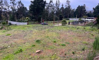 OPORTUNIDAD SITIO EN LA RESERVA DE MITRINHUE