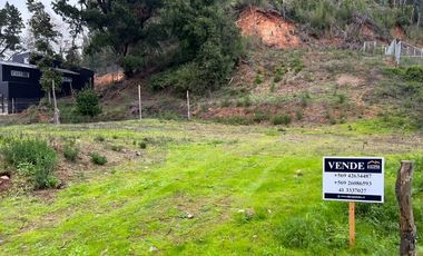 OPORTUNIDAD SITIO EN LA RESERVA DE MITRINHUE