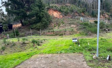 OPORTUNIDAD SITIO EN LA RESERVA DE MITRINHUE