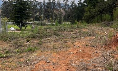 OPORTUNIDAD SITIO EN LA RESERVA DE MITRINHUE